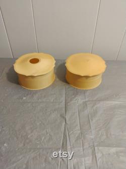 2pc Vintage French Ivory Celluloid Vanity Set Powder Box
