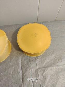 2pc Vintage French Ivory Celluloid Vanity Set Powder Box