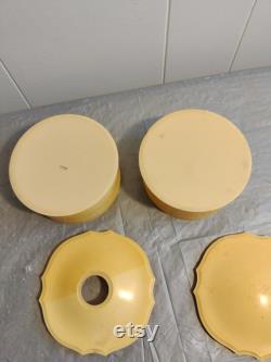 2pc Vintage French Ivory Celluloid Vanity Set Powder Box