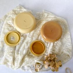 Antique Celluloid Vanity Set Early 20th Century Dressing Table Accessories Plastic Dresser Tray Hair Receiver and Powder Jar