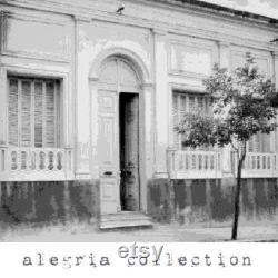 Antique Celluloid Vanity Set Early 20th Century Dressing Table Accessories Plastic Dresser Tray Hair Receiver and Powder Jar