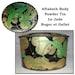 Antique French Aftabath Body Powder Tin, Le Jade Green Parrots, Roger et Gallet, Paris