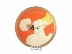 Antique Vintage Face Powder IDEAL Unopen. Accessories Vanity, 1930s Powder, Beauty, Art Deco, Collectibles