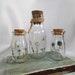 Botanical Glass Bottle Set withCork Stoppers, Vanity Set, Boudoir Decor, Floral Bottles