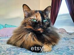 Oneida Brass Powder Tin, Round Box with Resin Inlaid Lid, Bird and Flower Motif, Vintage Dresser Toilet Set, Retro Vanity Pot Made in USA