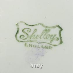 Shelley England Kingfisher Powder Jar, Porcelain Vanity Jar, Hand Painted Bone China Candy Dish, Art Nouveau Art Deco Dresser Box RARE