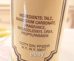VTG Sealed 1970s Coty Div. Pfizer WILD MUSK Talcum Powder 3.7 Oz ORIGINAL