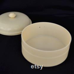 Vintage Celluloid Powder Box and Hair Receiver Set