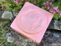 Vintage Evyan Perfumes Pink Plastic Powder Box with Art Nouveau Design Empty Vintage Powder Container Vanity, Boudoir, Bathroom