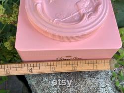 Vintage Evyan Perfumes Pink Plastic Powder Box with Art Nouveau Design Empty Vintage Powder Container Vanity, Boudoir, Bathroom