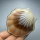 Vintage Gilded Silver 875 Shell Compact Collectible Powder Box & Mirror Signed