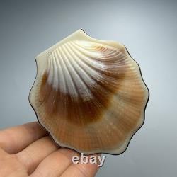 Vintage Gilded Silver 875 Shell Compact Collectible Powder Box & Mirror Signed