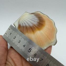 Vintage Gilded Silver 875 Shell Compact Collectible Powder Box & Mirror Signed