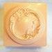 Vintage Pink Art Nouveau Lady and Roses Evyan Powder Box
