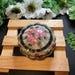Vintage Powder Box Handpainted by Nippon, Measures 4.5 Across