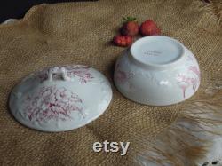 Vintage Red Transferware Lidded Jar English Transferware Red Staffordshire Apucini Pattern Vanity Jar Powder Box